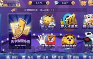从中超到世界杯-从中超到世界杯，中国足球的跨越与期待